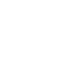5 dude