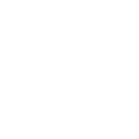singular 14